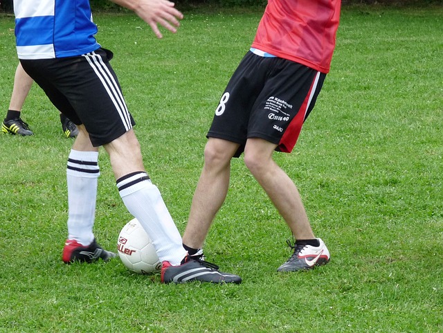 蜂如何打破 蜂如何打破