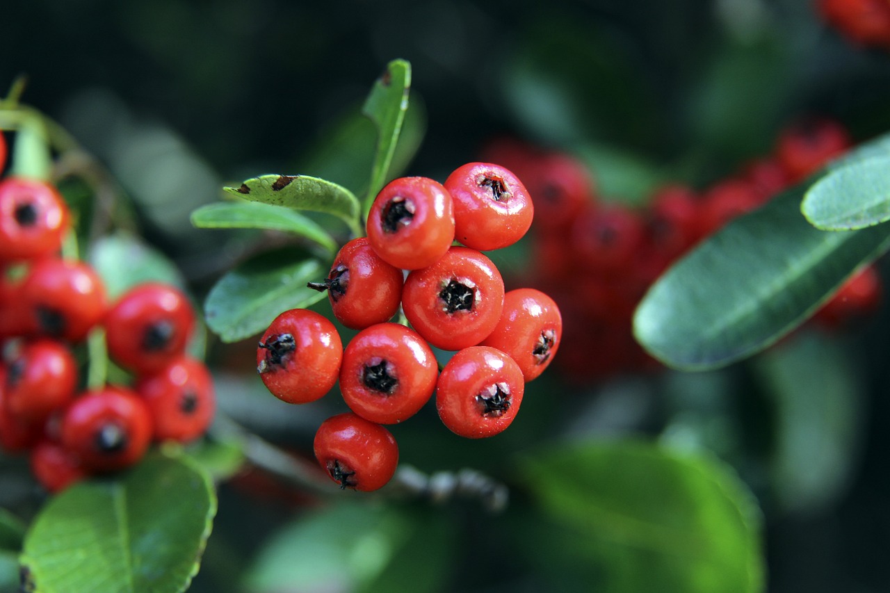 实力的机会 实力的机会